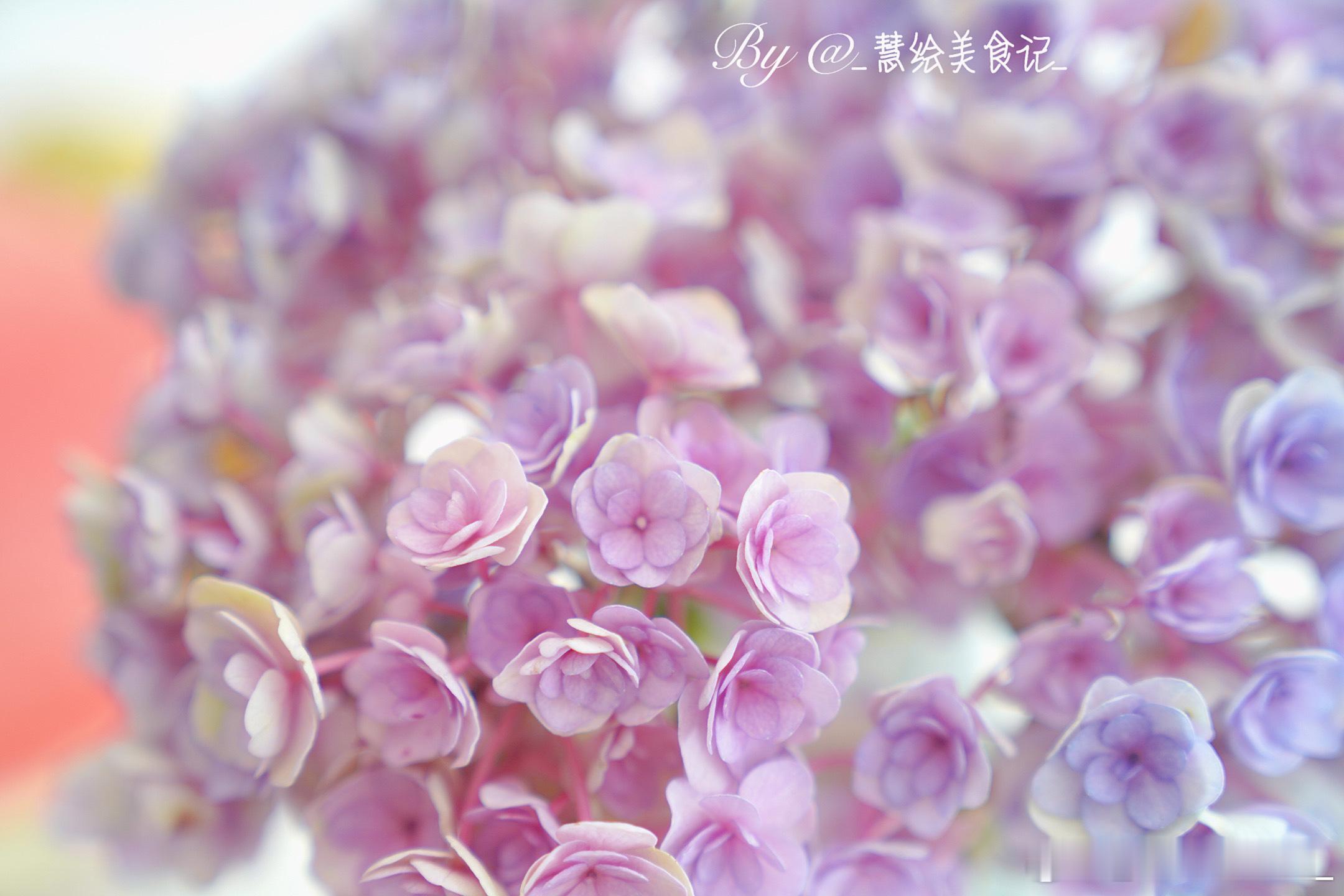 周末晚饭番茄土豆炖牛腩、西葫芦炒鸡蛋、平菇炒肉、杂粮粥、西瓜、葡萄~在家吃饭有多