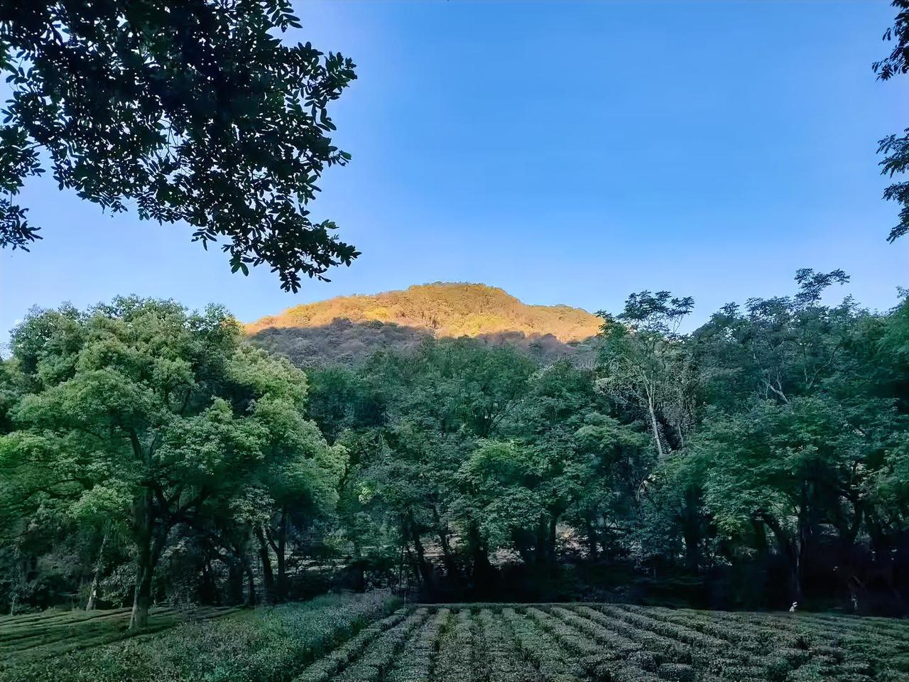 真正拉开人与人差距的，从来不是命运，而是你的选择。你有没有发现一件很扎心的事？