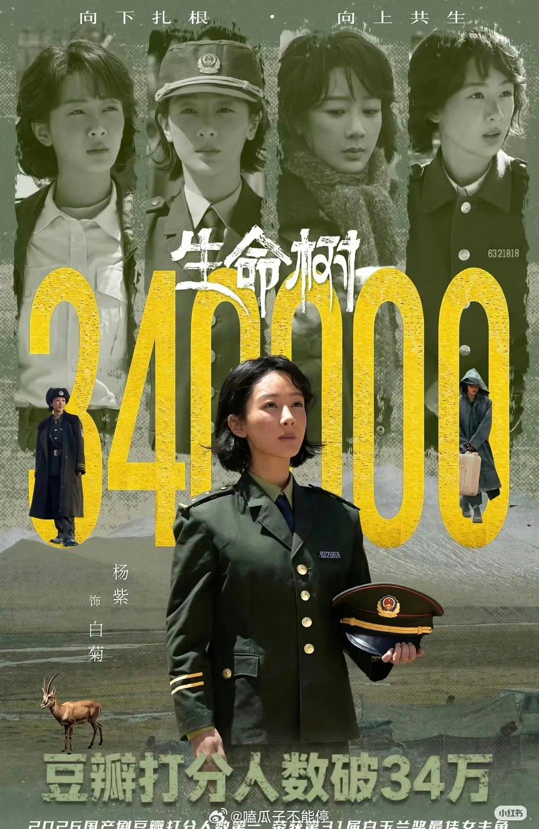 杨紫《生命树》超34万人打分，今年第一！ 