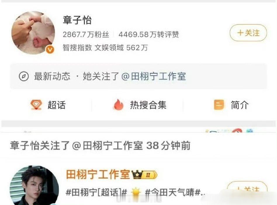 章子怡关注了田栩宁还有田栩宁的工作室，这是两位有合作的意思表示？还是纯属活动上有