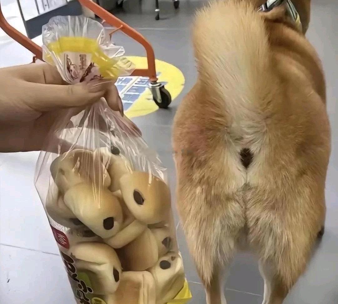 瞬间没食欲了。 