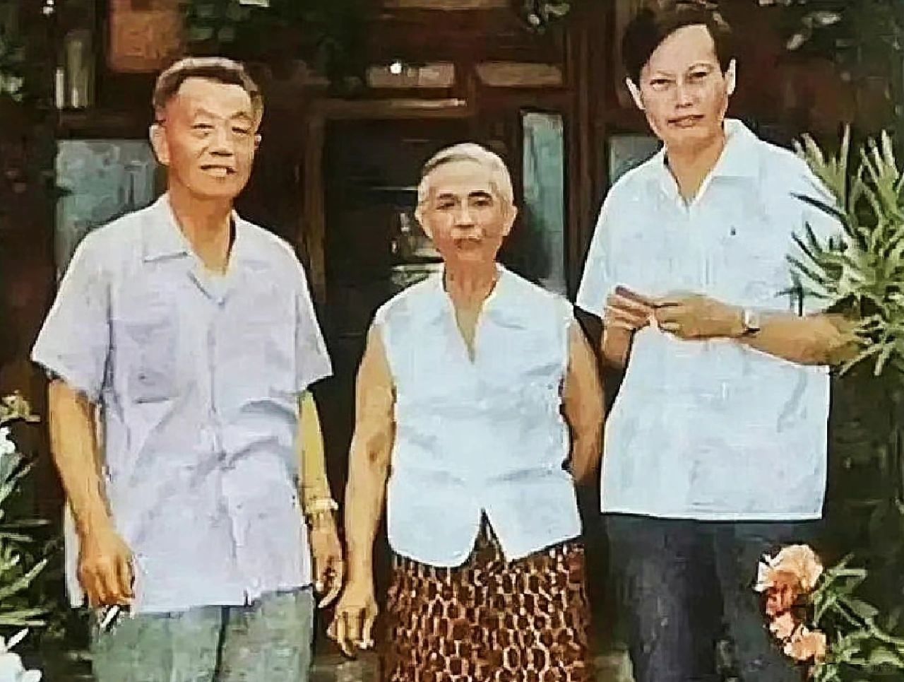 女婿来了｜1971年