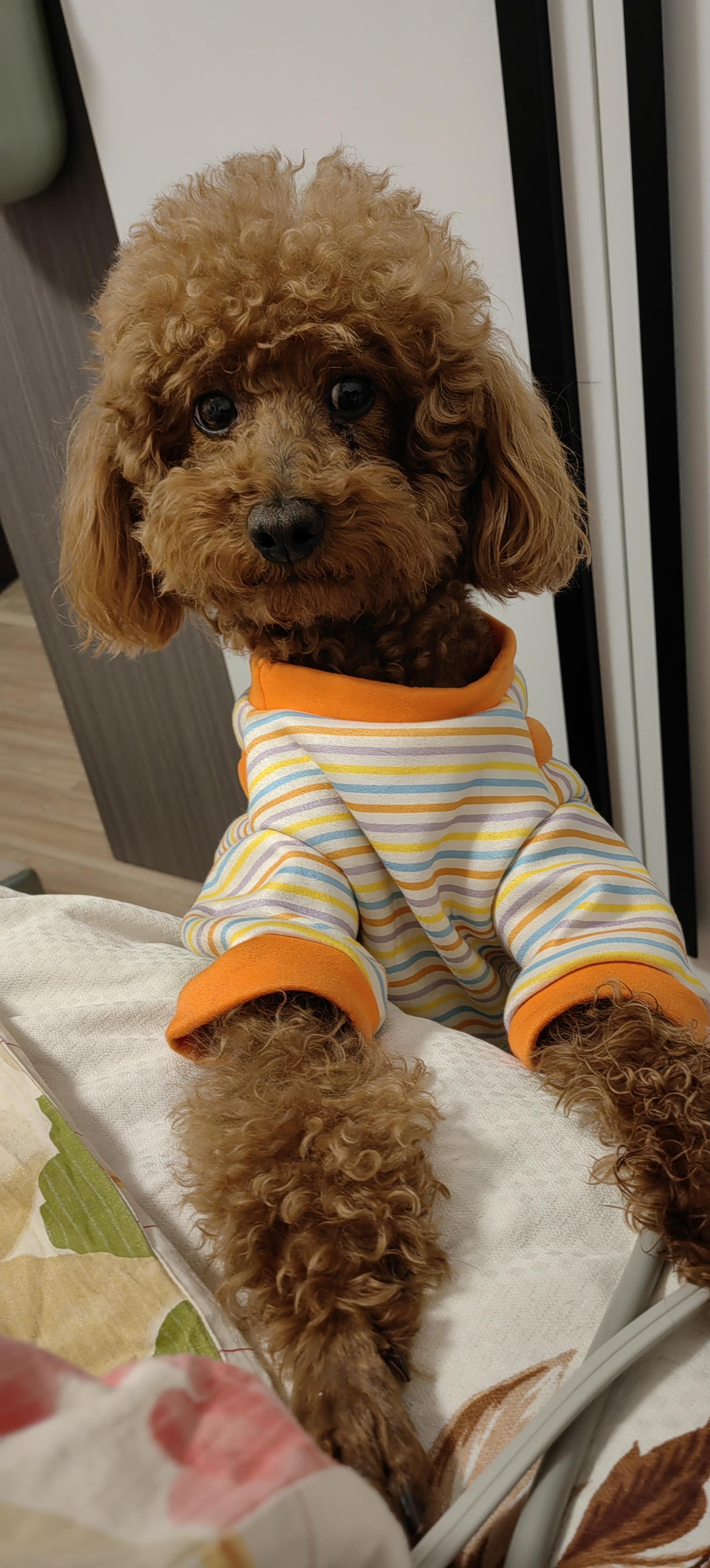 这是谁给我颠来的