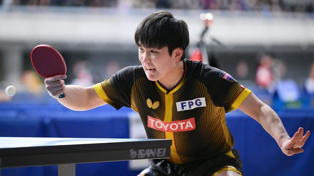 张本智和张本智和2026全日本乒乓球锦标赛资讯 20260122＜乒乓球·全日本