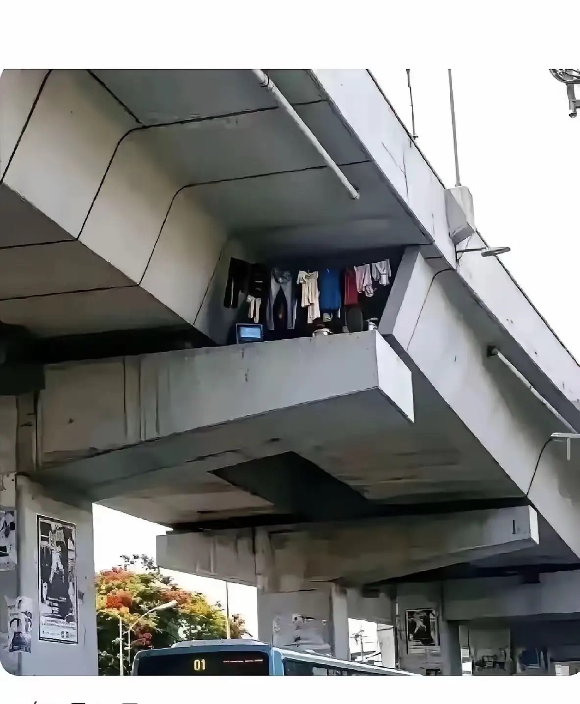 这下好了房子都不用买了
