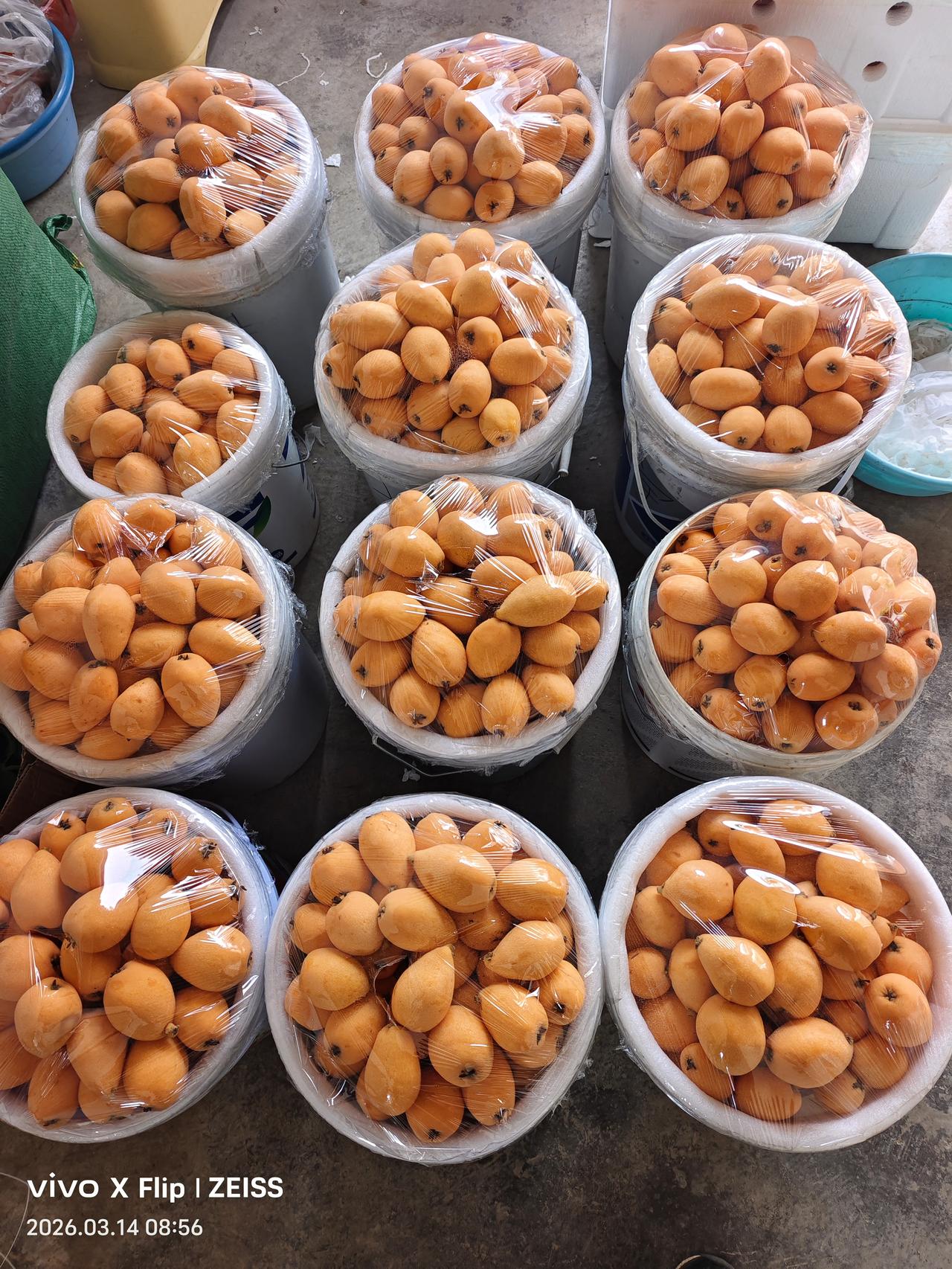 早盘光学光电子高开二个点，直接清仓走人了。也直接删掉它，不管它后面的涨跌。
大盘