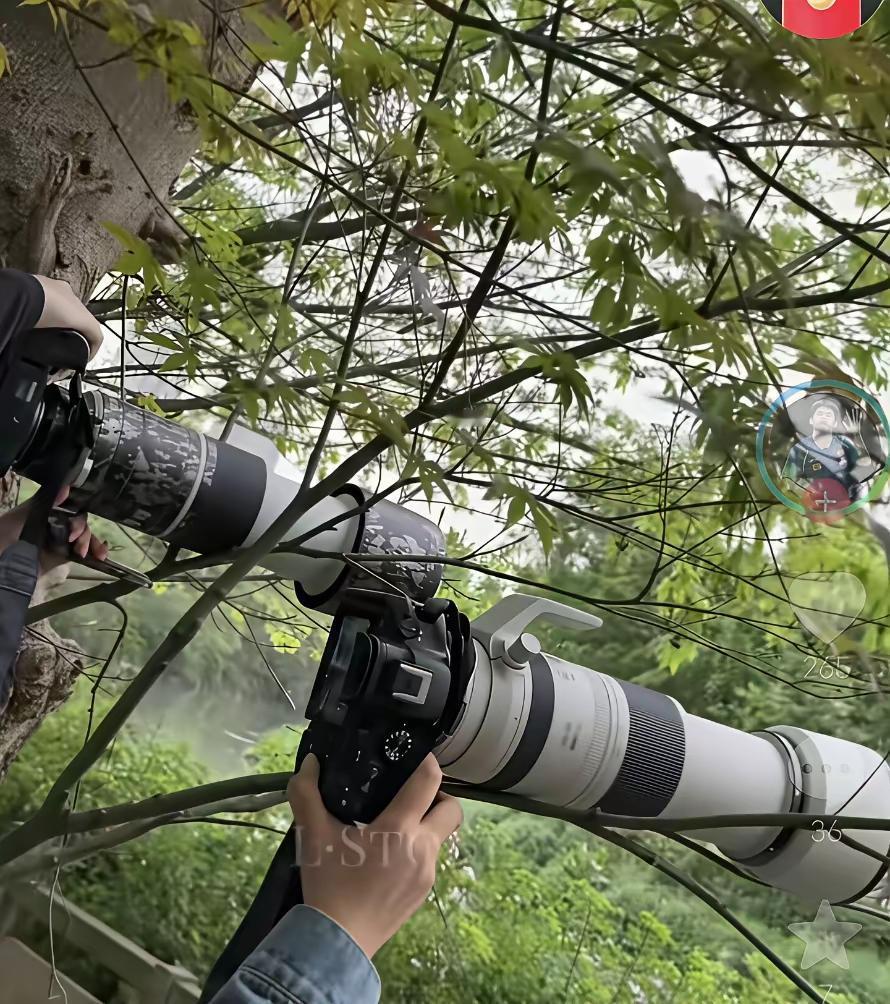 大壮今天和对岸树上的球迷互拍，成了国乒男队的开心一刻！[大笑][捂脸]
今天小石