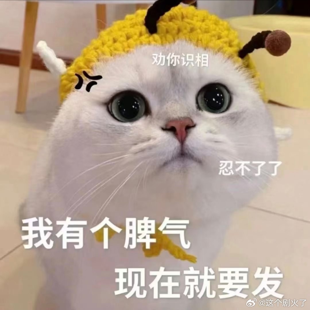 可可爱爱表情包。 