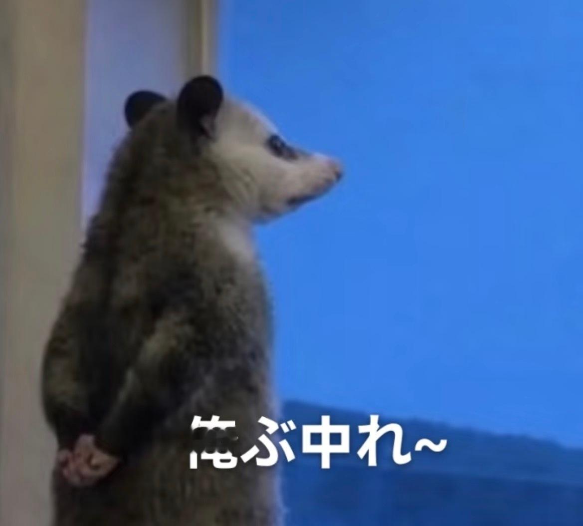 我没学过日语但笑翻了笑たます 