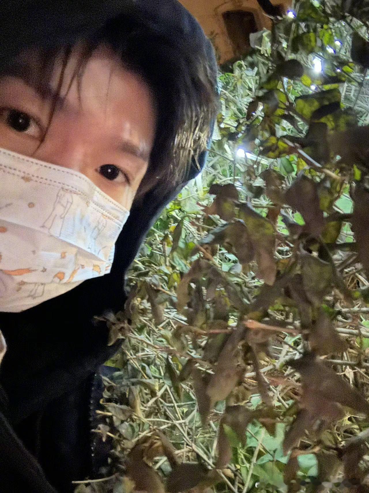 无人机外卖回应王源在璀璨的舞台上，王源与粉丝互动闲聊，说起当地特色配送模式，没想