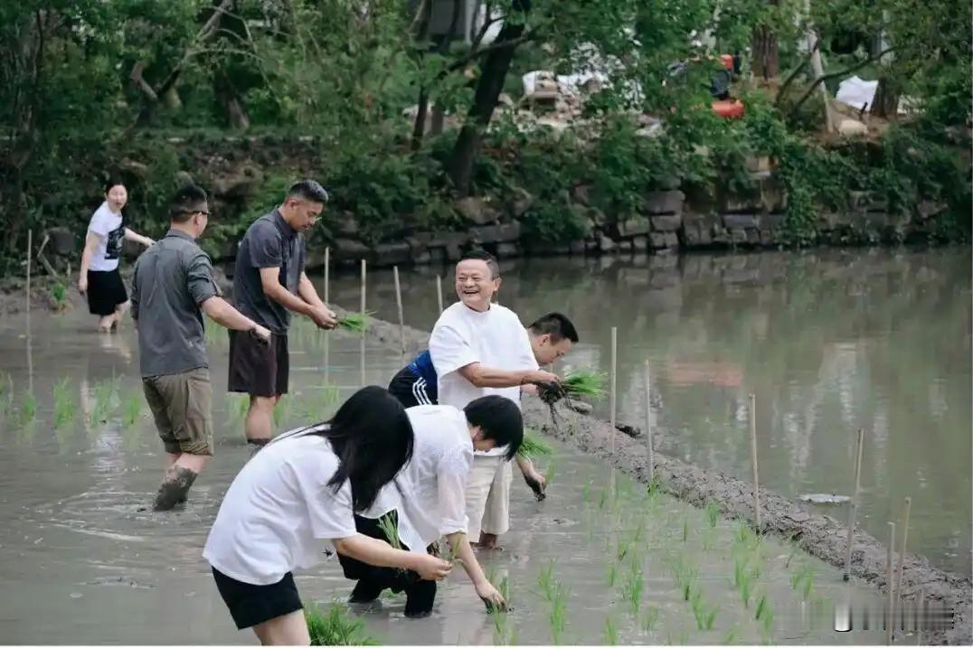 大伙儿说说，马云带高管团队插秧，这究竟是体验生活，还是作秀？据说十几个人 一上午