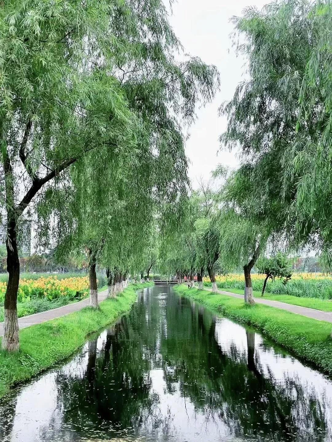 洋湖藏秘境：长沙新晋“鱼鳞瀑布”，藏在再生水厂里的松弛天地
 
长沙洋湖片区藏着