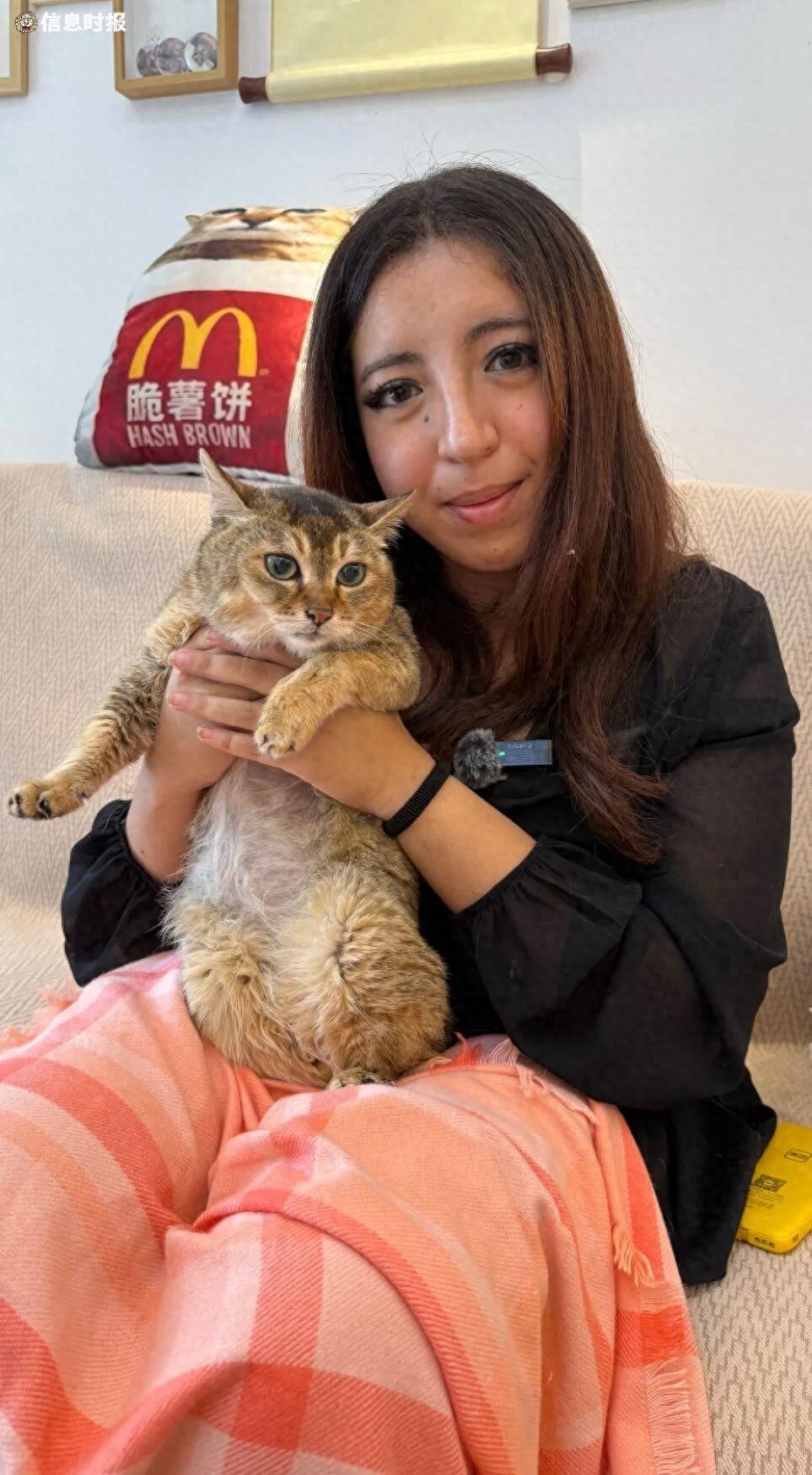 19 岁摩洛哥姑娘打工攒钱飞 15 个小时到广州，就为见一只猫！猫主人：之前被外