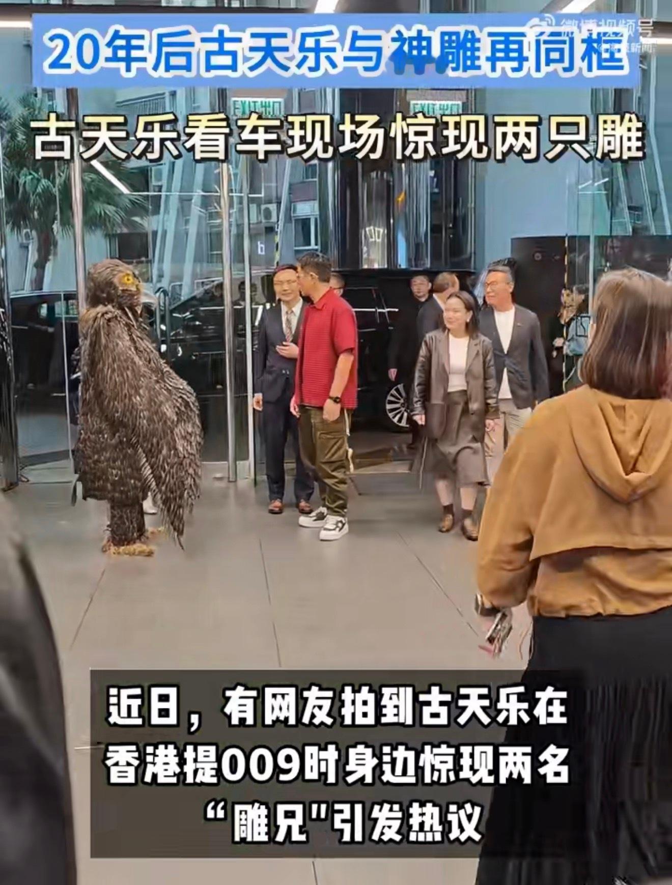 古天乐提车现场居然真的准备了两只“雕兄”在旁边陪他他自己也被逗笑到不行，那种自然