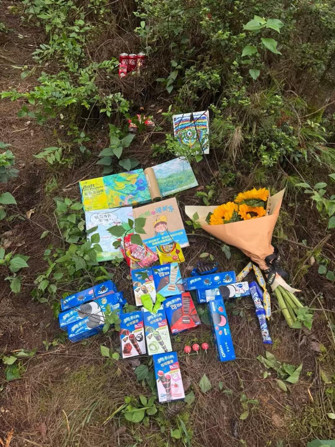苍山遇难8岁男童王一凯的尸检报告出来了，

和大家猜测的差不多。

8月27日王
