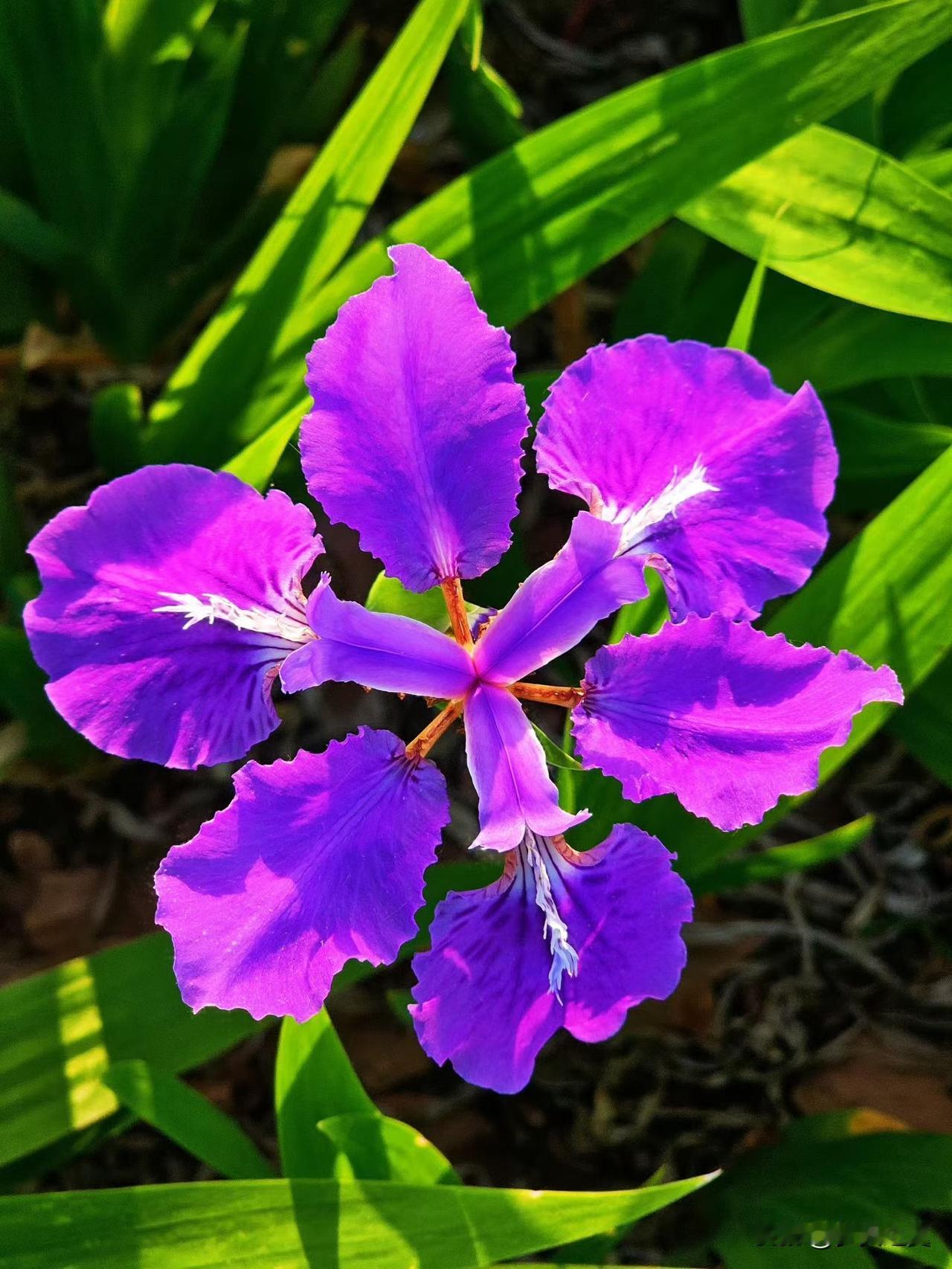 【小对联】
上：……？
下：瓜棚。