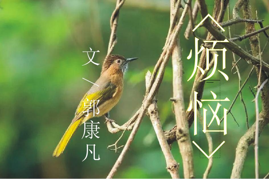 生活中烦恼就像影子甩都甩不掉，想忘掉它们，得学会些妙招。很多烦恼来自不值当的人和