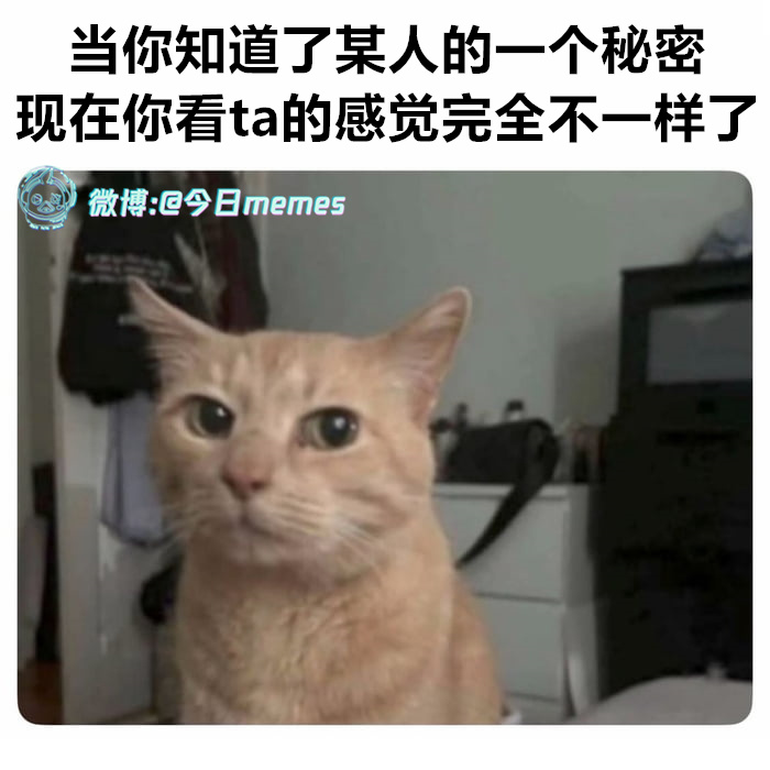 你（9gag）今日meme今日memes