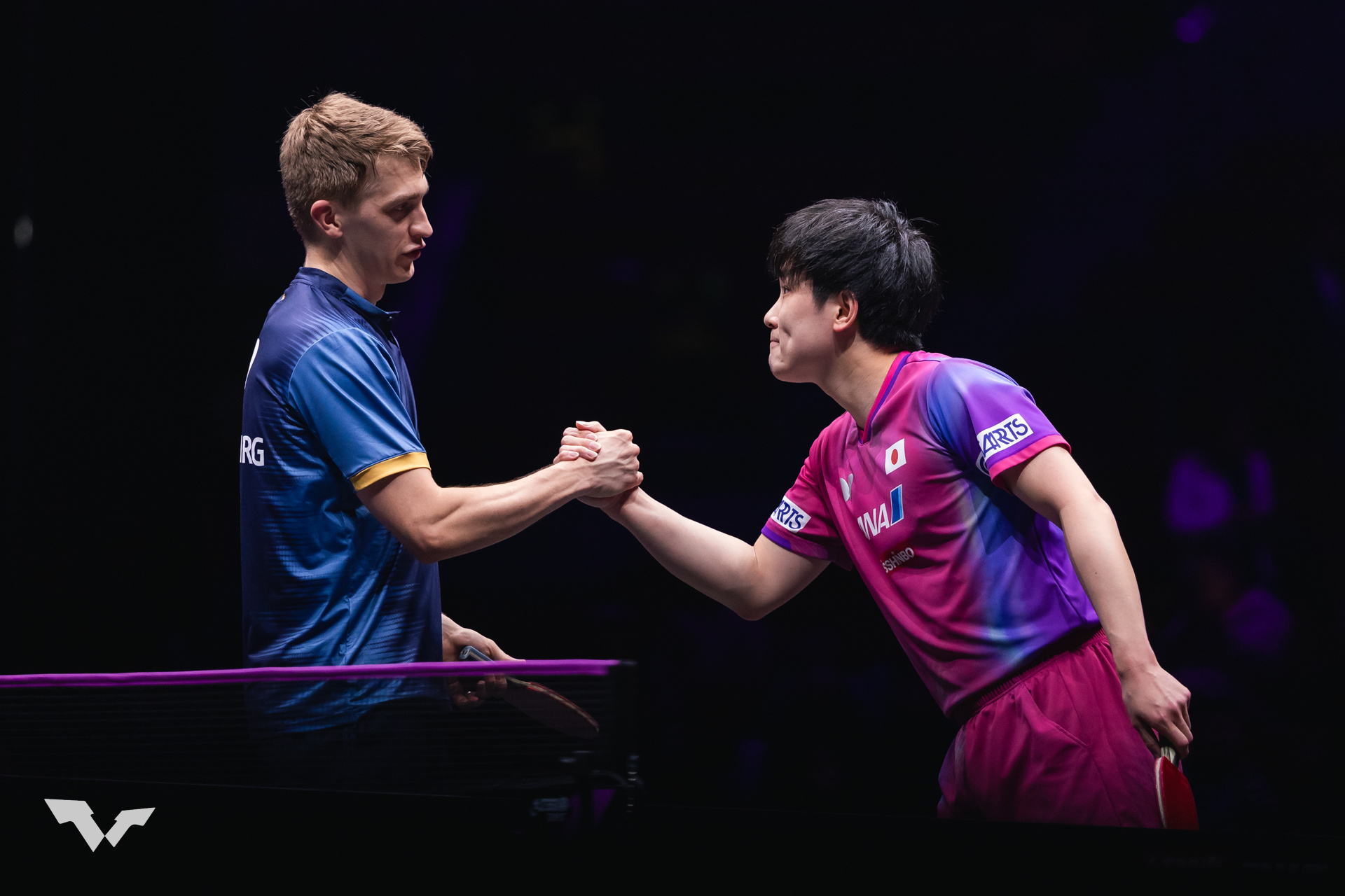 张本智和张本智和wtt重庆冠军赛2026 📷男单R32图集cr:wtt 