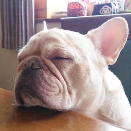 一到下午就是这个状态，干什么都想睡，到哪都能睡~