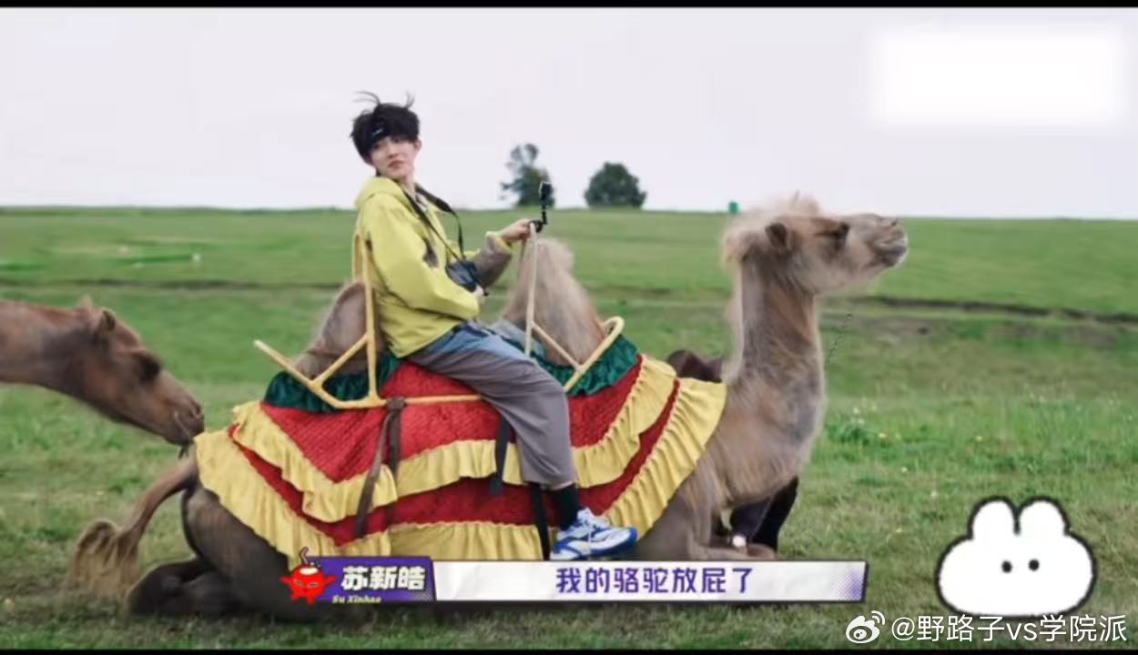 张泽禹被臭yue了苏新皓的骆驼放屁臭到张泽禹了一路向海的少年 苏新皓一本正经甩锅