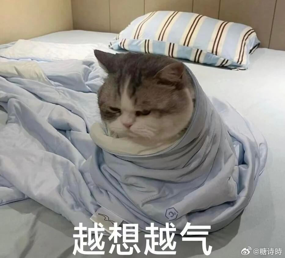 每个不用早起的日子我都醒得特别早！比如今天