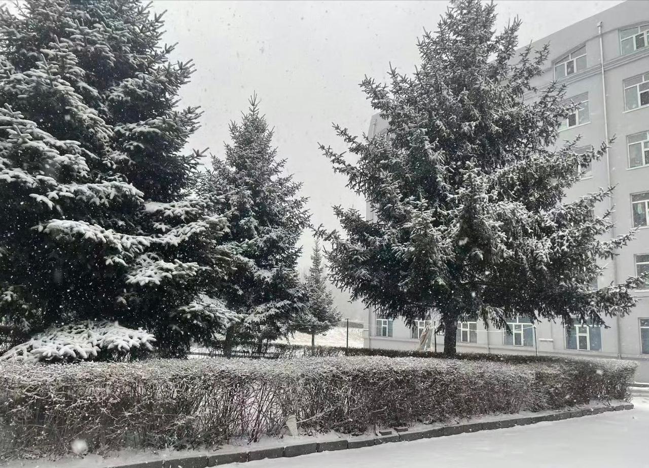 四月的雪🌨️ ​​​