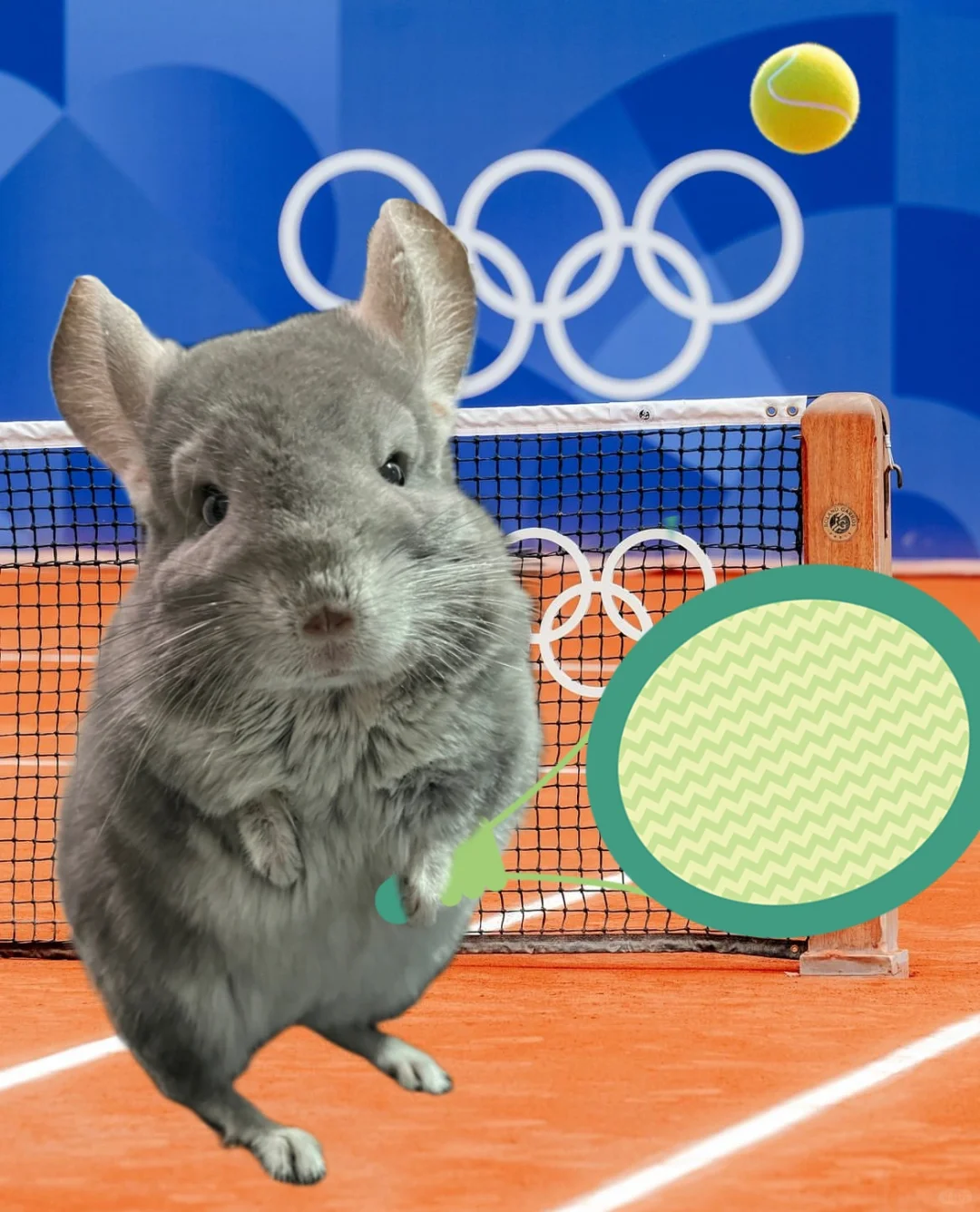 龙猫阿呆在巴黎奥运会打网球🎾篮球🏀