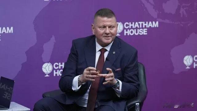 乌军前总司令扎卢日内于查塔姆研究所发表演讲时称，“当下我们与俄罗斯占领者之间的战