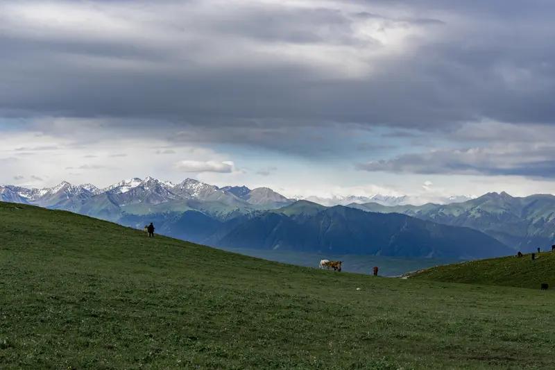 家人们，开房车逛伊犁草原，听我一句实在话：
恰西，那是给越野车准备的秘境，路窄弯