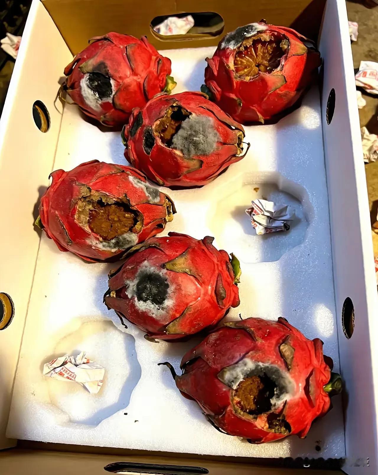 走亲戚千万不要买成箱的礼品。这是老表来看我妈拿的火龙果，拿了一张火龙果，看着非常