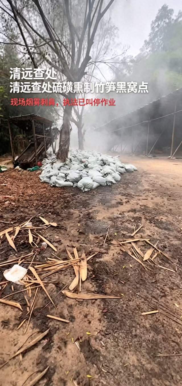 从“硫磺笋”黑窝点看食品安全：我们的餐桌安全，到底该怎么守？