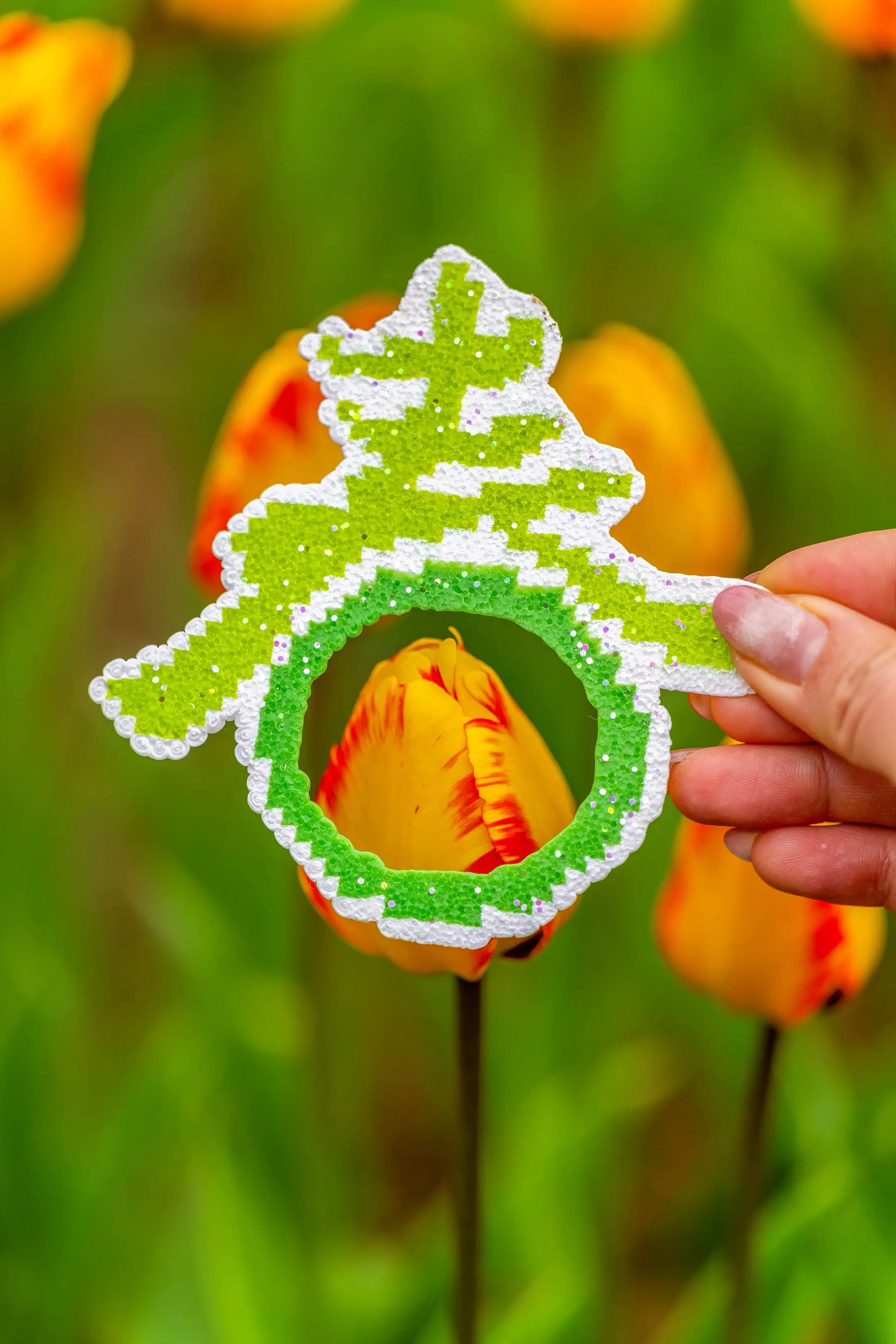 实拍人民公园郁金香。🌷目前已盛开一小部分，估计再过一周左右能到盛开期...