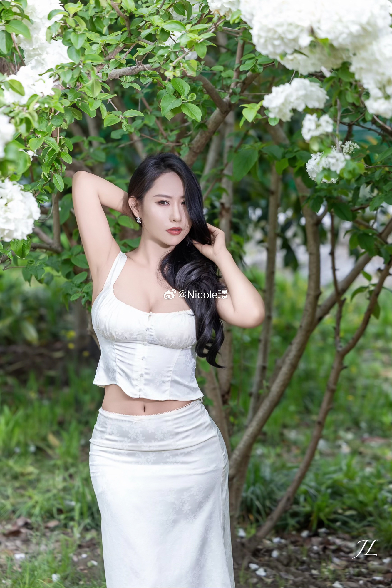 绣球花 