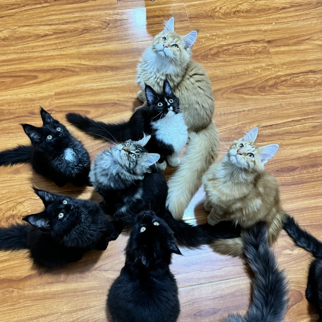 我在等你带我回家呐！