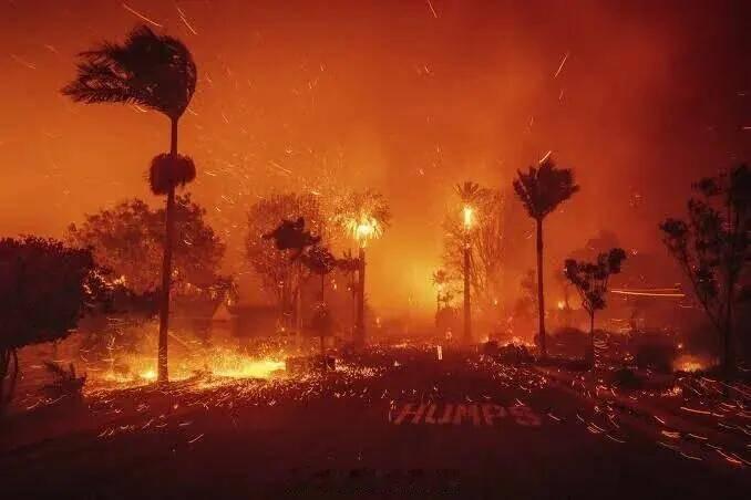 美国洛杉矶山火完全失控 美国的很多别墅都是木头房子，而且周围绿化很好，依山而建。