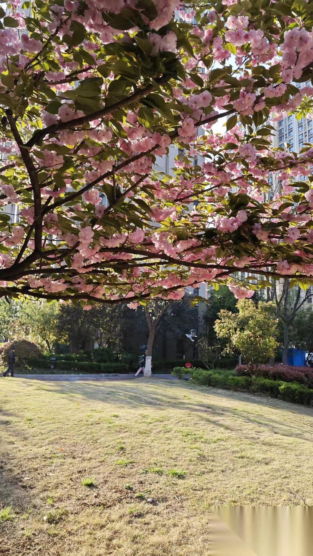 弘一法师晚年，有人问他：“您看破了红尘，是不是对家人、对朋友、一点感情都没有了？