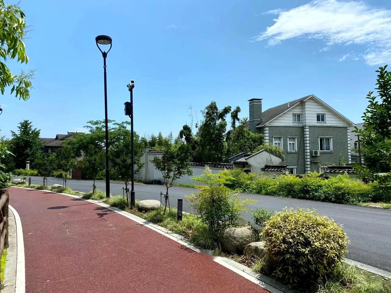 这不是国外，这不是北欧小镇，
这是浙江新农村！
这环境跟小洋楼看着宁静，干净，温