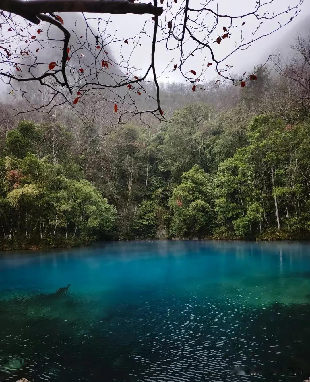 山青水秀