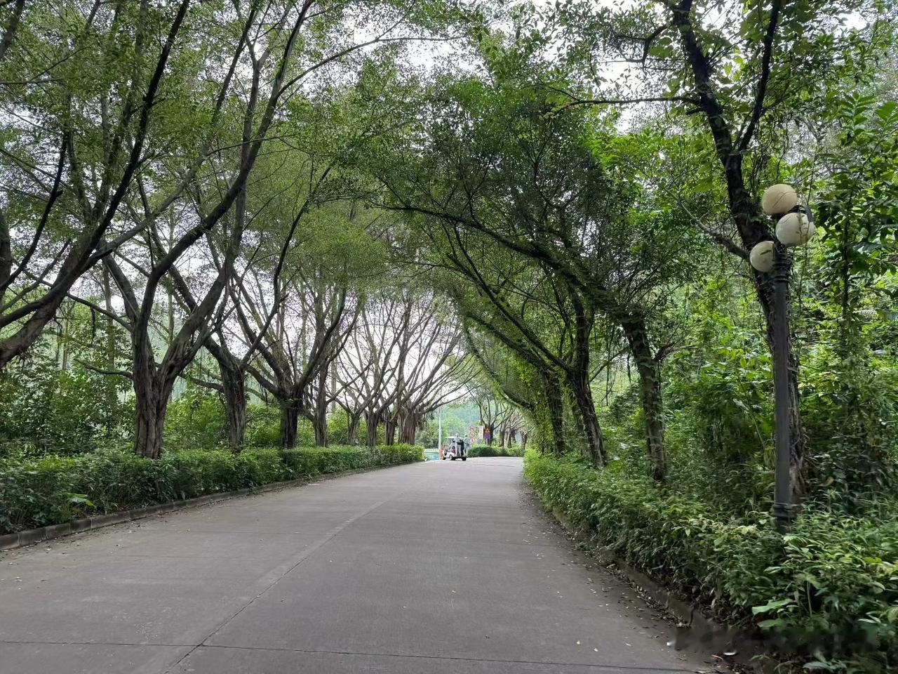 ❤️真正顶级的领导者，从不会只依靠自己单打独斗。看透领导力第一性原理就会明白：演