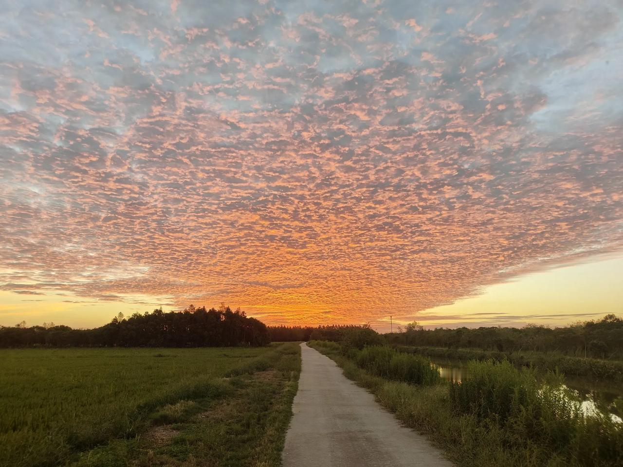 夕阳西下，小路延伸至远方，静谧的乡村美景。田园路上的风景 黄昏乡村风景 宁静的乡
