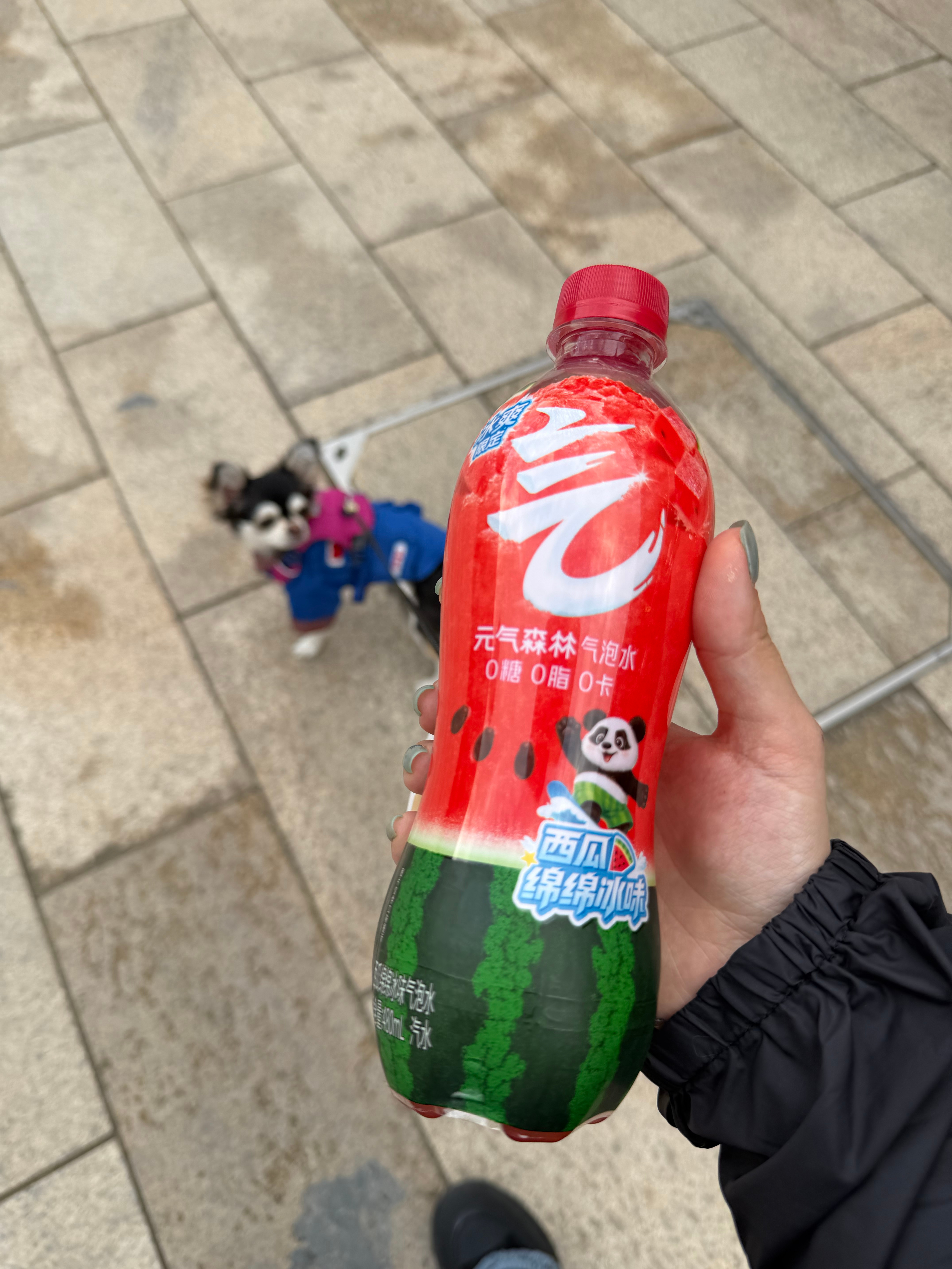 完全没有做任何准备的五台山之行，到山脚下才发现要爬山，上黛螺顶1080级台阶真的