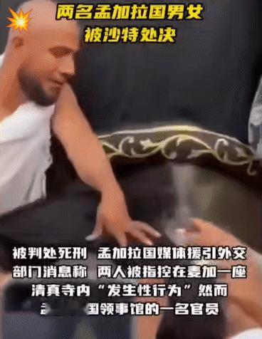 两只流浪猫竟敢在大庙旁边苟且嚎叫？狗（Gold）大户用石头砸死了它们！看这消息，
