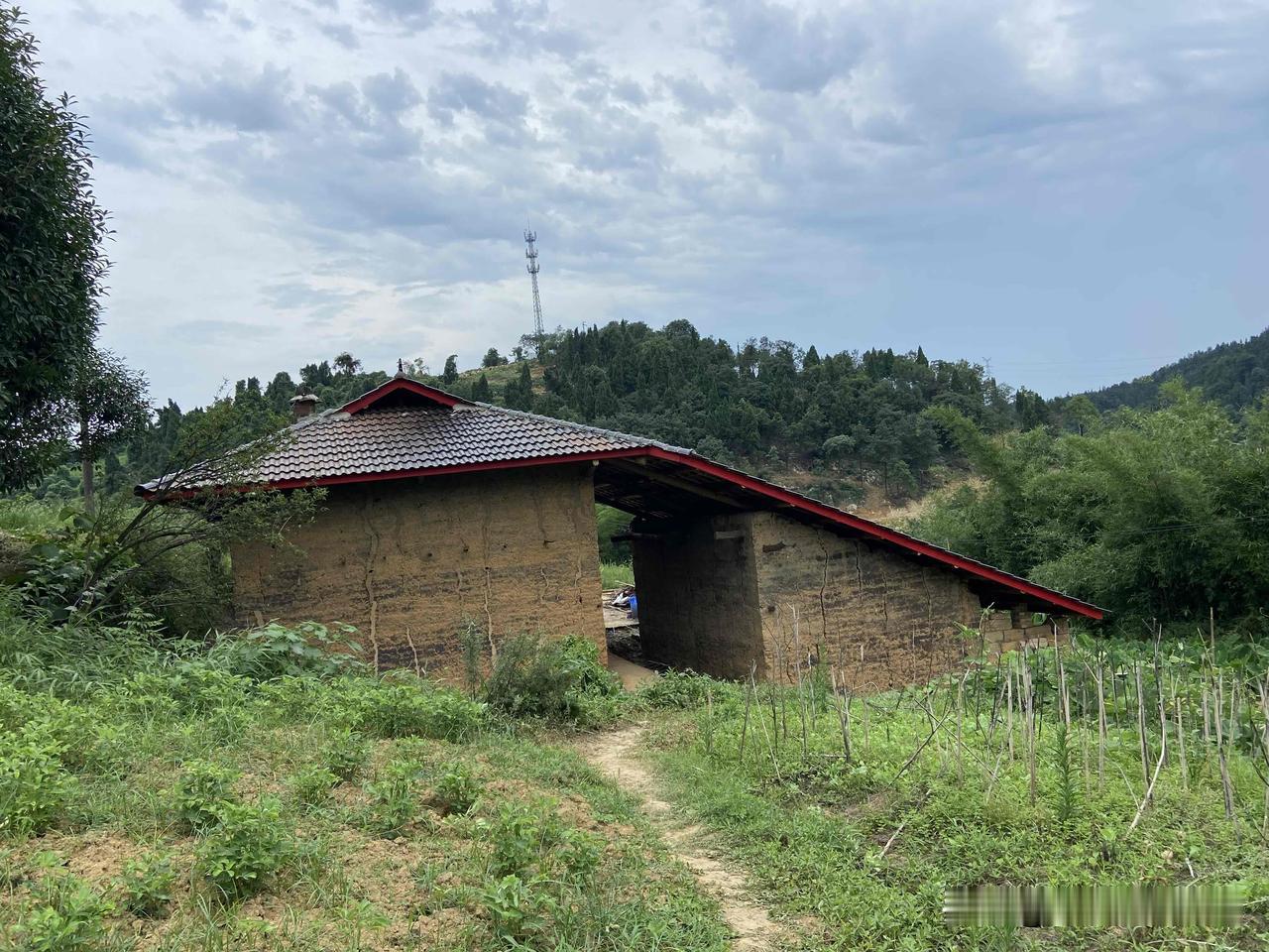 这是我们花3万在山里买的一套土瓦房，瓦片已经换过来了，219个平方花了24000