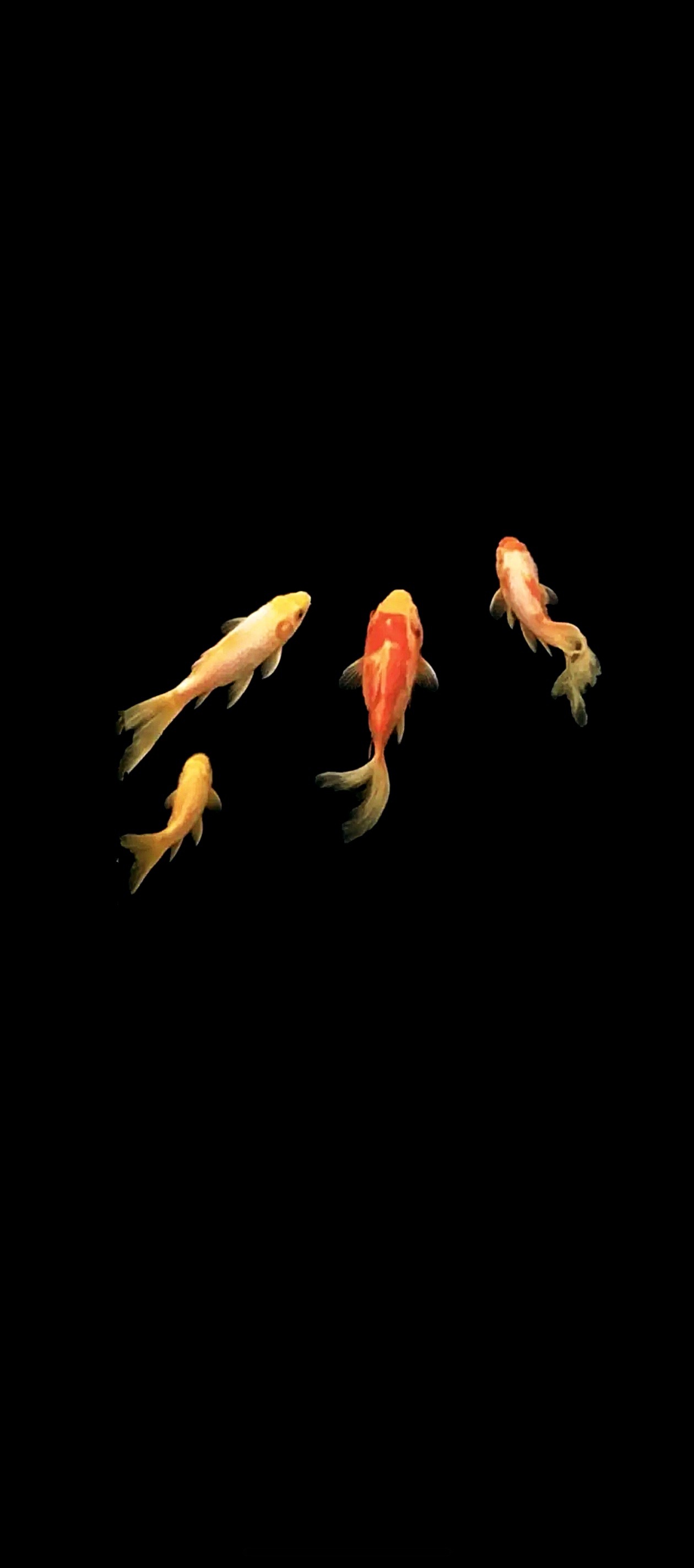 穷并不可怕，可怕的是，穷的人是我。（内容摘自网络，图文无相关） ​​​