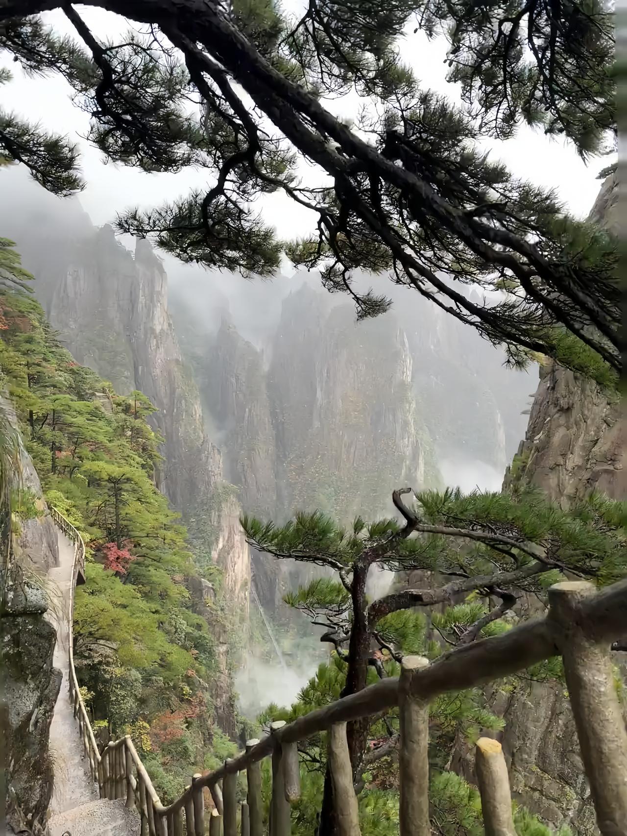 黄山与庐山，本就不是同一种旅行
 
总有人执着于把黄山和庐山放在一起比较，可在我