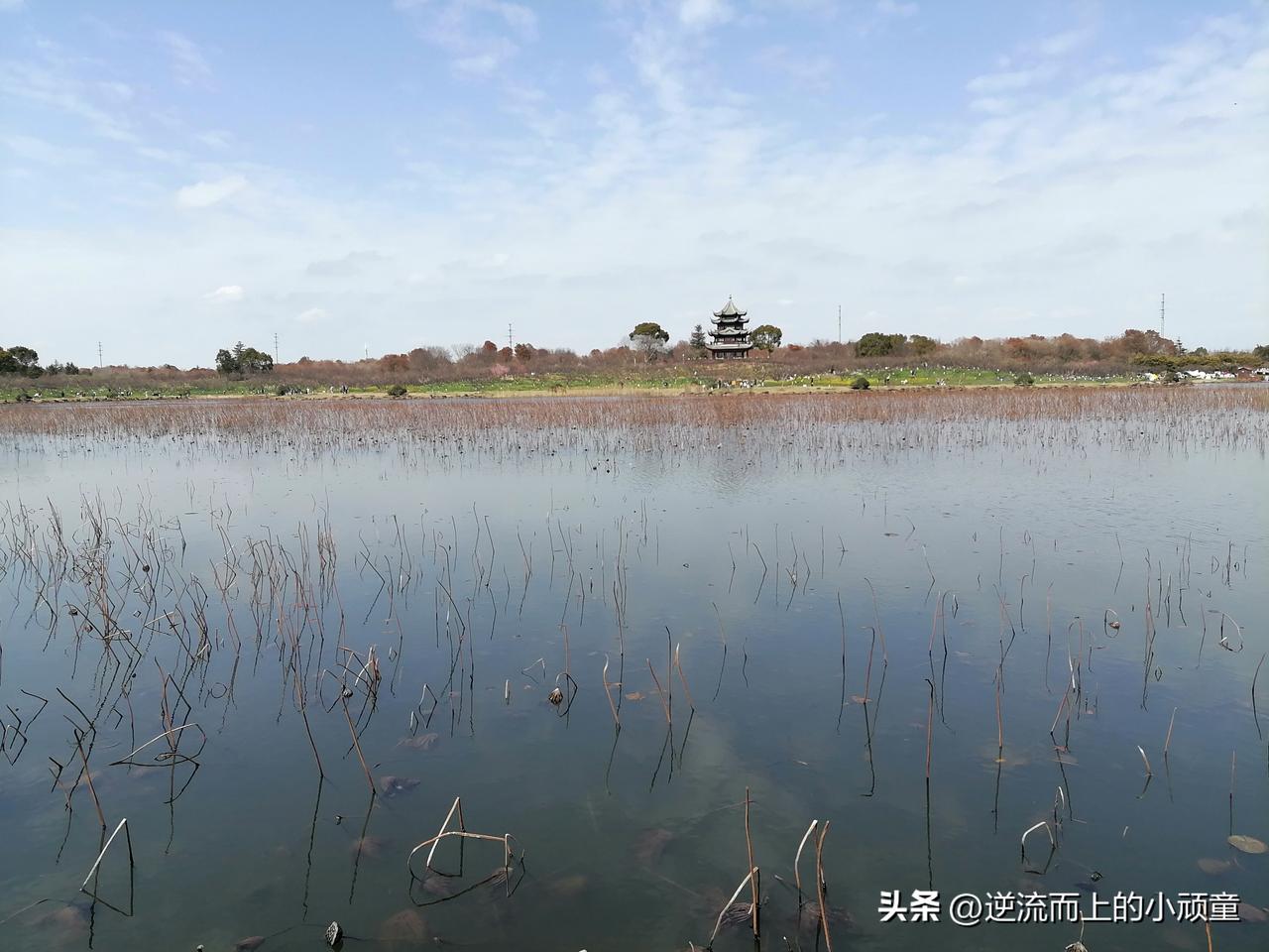 1. 美股：为什么说它“理智成熟”？

美股的逻辑相对简单，主要看基本面。因为市