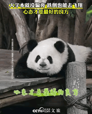 奇三妹是不是特别受央妈的偏爱？央妈给奇三妹加的配文能不能封神？
人字本就没偏旁，