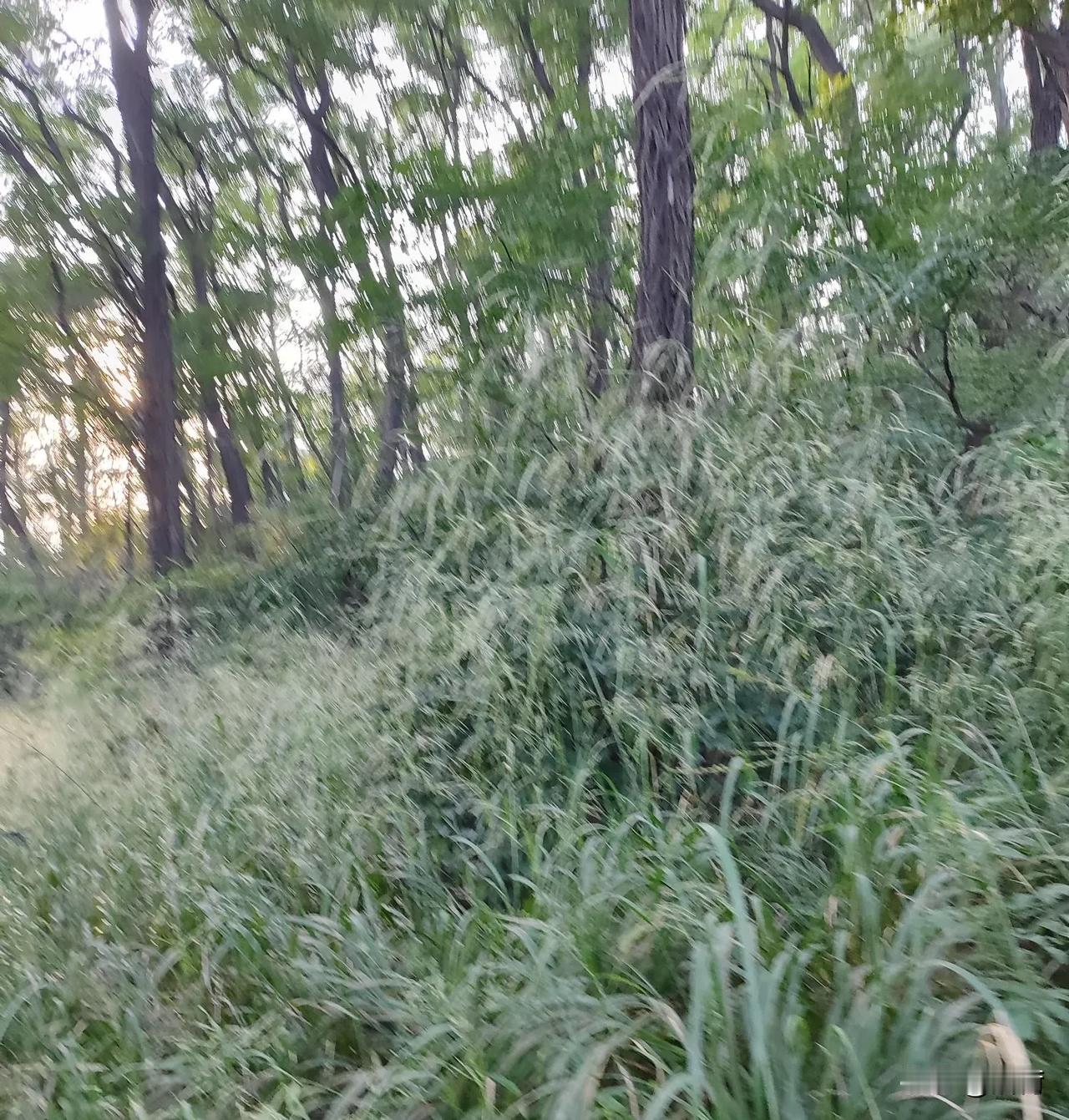 我离娘家有200多km，一年到头也回去不了两次，自从老爸过世后，我每次回娘家都会