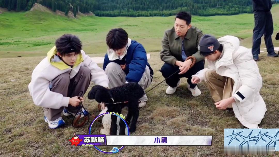 苏新皓护犊子小动物之间的小冲突，苏新皓第一时间站出来护着自己的小羊，对外还吐槽别
